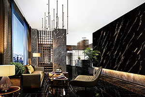 የጌጣጌጥ እብጠት ንድፍ PVC / የቤት እንስሳት ፊልም